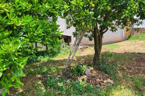 Terra a Barro, Aveiro, Barro - € 80.000 | Ref: KWPT-003080 - foto 27