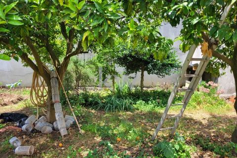 Terra a Barro, Aveiro, Barro - € 80.000 | Ref: KWPT-003080 - foto 28