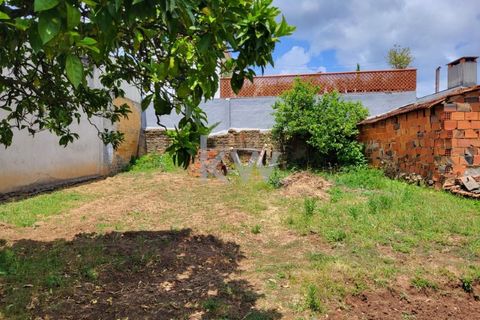 Terra a Barro, Aveiro, Barro - € 80.000 | Ref: KWPT-003080 - foto 29