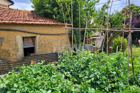 Terra a Barro, Aveiro, Barro - € 80.000 | Ref: KWPT-003080 - foto 31