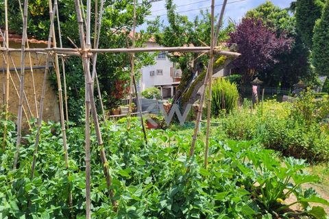 Terra a Barro, Aveiro, Barro - € 80.000 | Ref: KWPT-003080 - foto 32