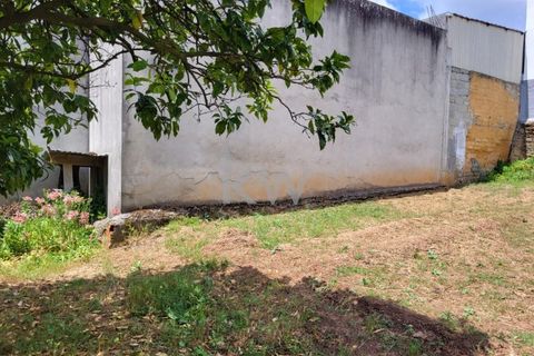 Terra a Barro, Aveiro, Barro - € 80.000 | Ref: KWPT-003080 - foto 34