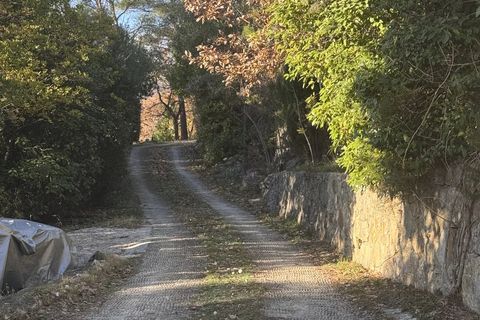 Villa i Tourrettes, Var, Tourrettes - € 895.000 | Ref: 2859 - foto 2