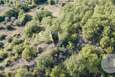 Terra a Parrano, Terni, Parrano - € 150.000 | Ref: TRN162-786600 - foto 2