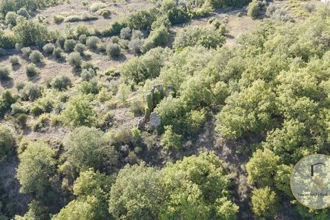 Terra a Parrano, Terni, Parrano - € 150.000 | Ref: TRN162-786600 - foto 3