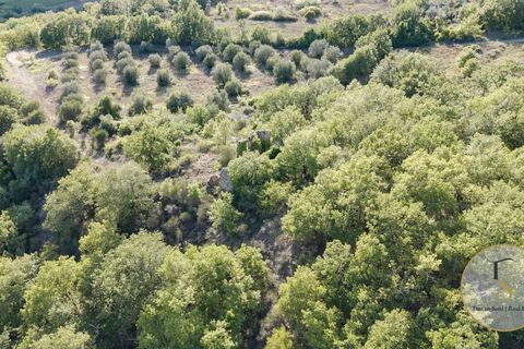 Terra a Parrano, Terni, Parrano - € 150.000 | Ref: TRN162-786600 - foto 4