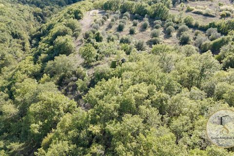 Terra a Parrano, Terni, Parrano - € 150.000 | Ref: TRN162-786600 - foto 5
