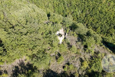 Terra a Parrano, Terni, Parrano - € 150.000 | Ref: TRN162-786600 - foto 6