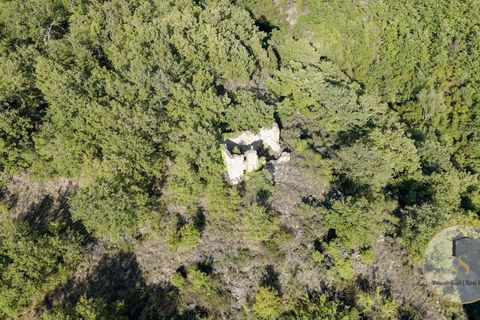 Terra a Parrano, Terni, Parrano - € 150.000 | Ref: TRN162-786600 - foto 7