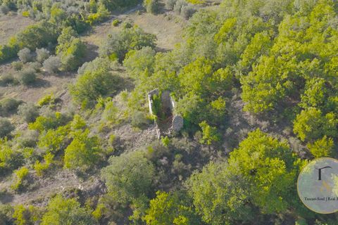 Terra a Parrano, Terni, Parrano - € 150.000 | Ref: TRN162-786600 - foto 9