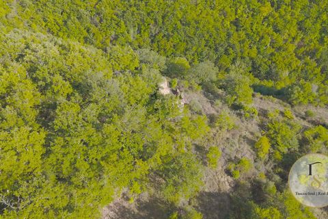 Terra a Parrano, Terni, Parrano - € 150.000 | Ref: TRN162-786600 - foto 10