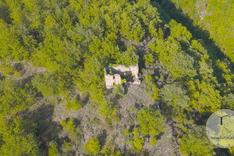 Terra a Parrano, Terni, Parrano - € 150.000 | Ref: TRN162-786600 - foto 12