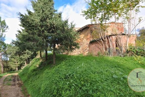 Farm hus i Sinalunga, Siena, Sinalunga - € 900.000 | Ref: TRQ157-786801 - foto 4