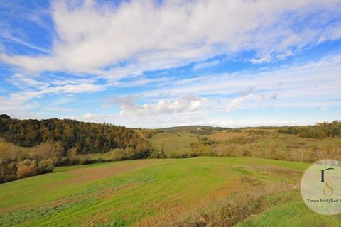 Farm hus i Sinalunga, Siena, Sinalunga - € 900.000 | Ref: TRQ157-786801 - foto 5