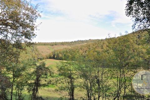 Farm hus i Sinalunga, Siena, Sinalunga - € 900.000 | Ref: TRQ157-786801 - foto 12