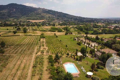 Villa i Cortona, Arezzo, Cortona - € 3.500.000 | Ref: COR147-787632 - foto 21