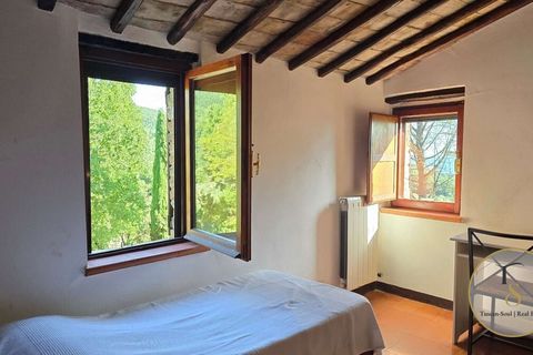 Farm hus i Baschi, Terni, Baschi - € 950.000 | Ref: TRN184-787668 - foto 17