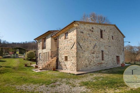 Farm hus i Radicofani, Siena, Radicofani - € 1.050.000 | Ref: VAL201-787885 - foto 24