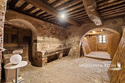 Villa i Torrita di Siena, Siena, Torrita di Siena - € 690.000 | Ref: MTP3371-788442 - foto 2
