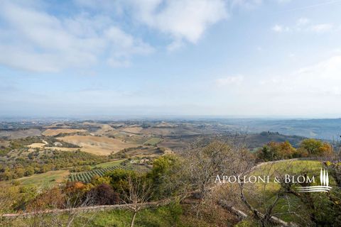 Villa i Torrita di Siena, Siena, Torrita di Siena - € 690.000 | Ref: MTP3371-788442 - foto 18