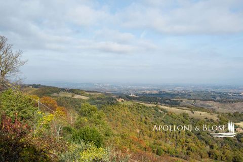 Villa i Torrita di Siena, Siena, Torrita di Siena - € 690.000 | Ref: MTP3371-788442 - foto 19
