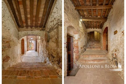 Villa i Torrita di Siena, Siena, Torrita di Siena - € 690.000 | Ref: MTP3371-788442 - foto 27
