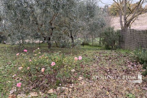 Byhus i Monteriggioni, Siena, Monteriggioni - € 580.000 | Ref: CNT3450-788993 - foto 26