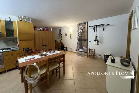 Byhus i Monteriggioni, Siena, Monteriggioni - € 580.000 | Ref: CNT3450-788993 - foto 38