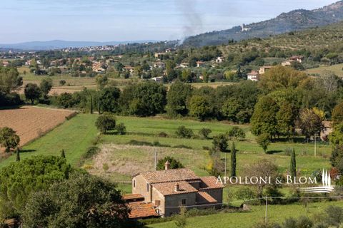 Farm hus i Cortona, Arezzo, Cortona - € 499.000 | Ref: COR3468-789144 - foto 1