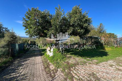 Villa a Alghero, Sassari, Alghero - € 555.000 | Ref: ALGHE73 - foto 8