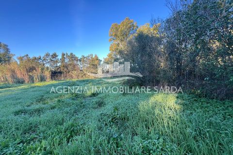 Villa i Alghero, Sassari, Alghero - € 230.000 | Ref: ALGHE75 - foto 31