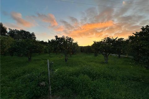 Helårsgrund i Noto, Siracusa, Noto - € 45.000 | Ref: V187T - foto 2