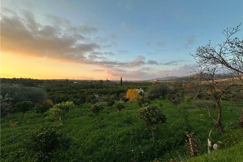 Helårsgrund i Noto, Siracusa, Noto - € 45.000 | Ref: V187T - foto 3