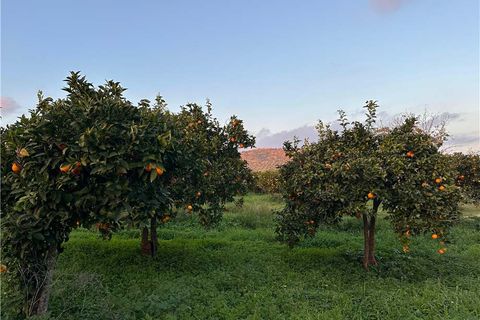 Helårsgrund i Noto, Siracusa, Noto - € 45.000 | Ref: V187T - foto 4