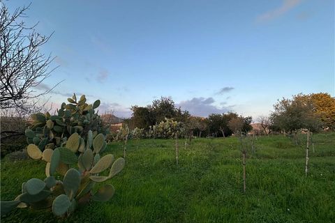 Helårsgrund i Noto, Siracusa, Noto - € 45.000 | Ref: V187T - foto 5