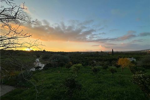 Helårsgrund i Noto, Siracusa, Noto - € 45.000 | Ref: V187T - foto 7