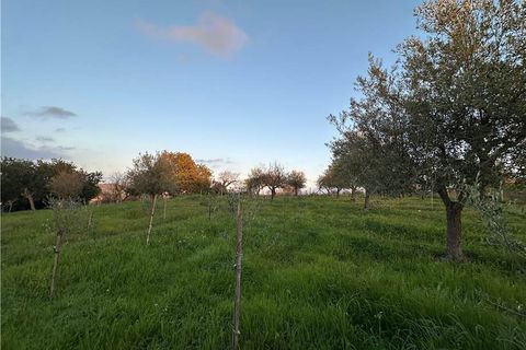 Helårsgrund i Noto, Siracusa, Noto - € 45.000 | Ref: V187T - foto 8