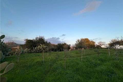 Helårsgrund i Noto, Siracusa, Noto - € 45.000 | Ref: V187T - foto 9