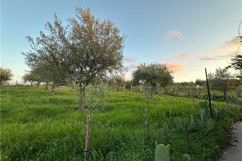 Helårsgrund i Noto, Siracusa, Noto - € 45.000 | Ref: V187T - foto 10