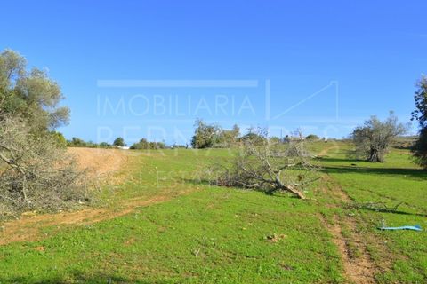 Helårsgrund i Quelfes, Faro, Quelfes - € 100.000 | Ref: A4660 - foto 10