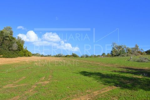Helårsgrund i Quelfes, Faro, Quelfes - € 100.000 | Ref: A4660 - foto 11