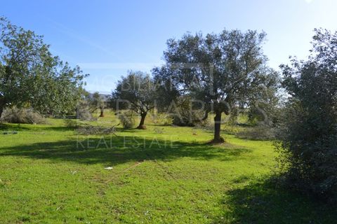 Helårsgrund i Quelfes, Faro, Quelfes - € 100.000 | Ref: A4660 - foto 12