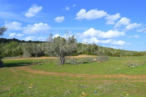 Helårsgrund i Quelfes, Faro, Quelfes - € 100.000 | Ref: A4660 - foto 13
