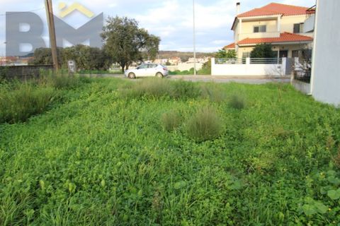 Helårsgrund i Castelo Branco, Castelo Branco, Castelo Branco - € 87.000 | Ref: 4405 - foto 4