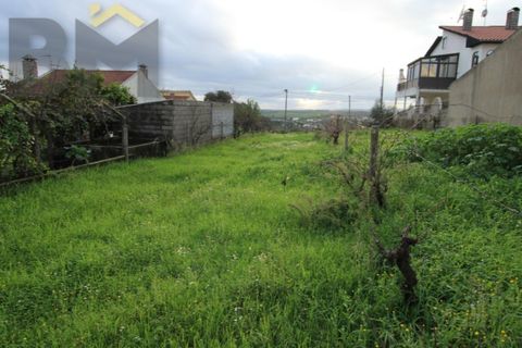 Helårsgrund i Castelo Branco, Castelo Branco, Castelo Branco - € 87.000 | Ref: 4405 - foto 6