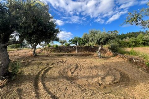 Helårsgrund i Castelo Branco, Castelo Branco, Castelo Branco - € 8.750 | Ref: 4872 - foto 4