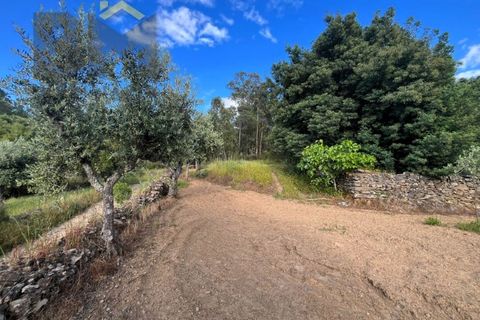 Helårsgrund i Castelo Branco, Castelo Branco, Castelo Branco - € 8.750 | Ref: 4872 - foto 9