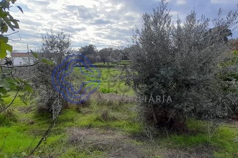 Helårsgrund i Fundao, Castelo Branco, Fundao - € 36.000 | Ref: 1116641 - foto 3
