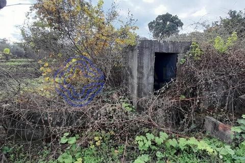 Helårsgrund i Fundao, Castelo Branco, Fundao - € 36.000 | Ref: 1116641 - foto 4