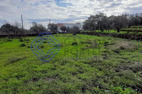 Helårsgrund i Fundao, Castelo Branco, Fundao - € 36.000 | Ref: 1116641 - foto 5